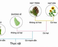 Các Loại Thủy Sản Ăn Thực Vật Gì