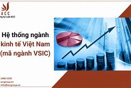 Mã Ngành Đầu Tư Vsic 2018 Cấp 2 Là Gì