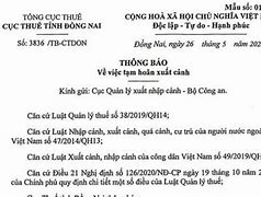 Tạm Hoãn Xuất Cảnh 4 Giám Đốc Nợ Thuế